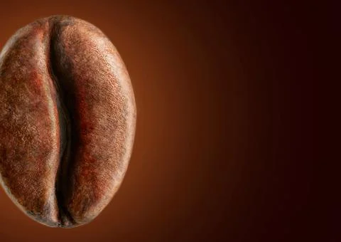 Coffee bean close-up, on a brown backlit background with copy space for text. Stock Photos