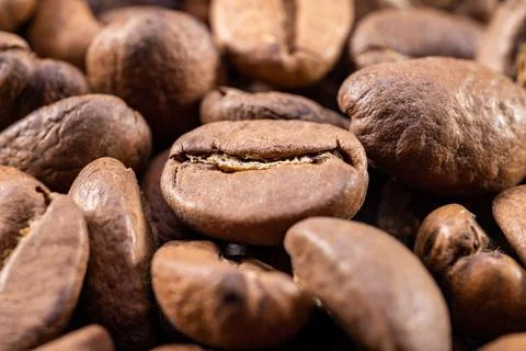 Coffee Bean Close Macro Shot 48MP Stock Photos