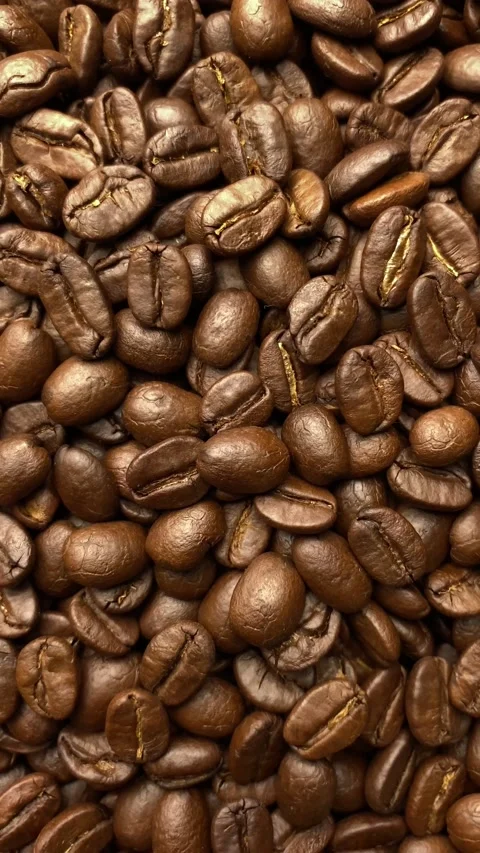 Coffee bean, closeup of coffee beans Stock Footage 238408552