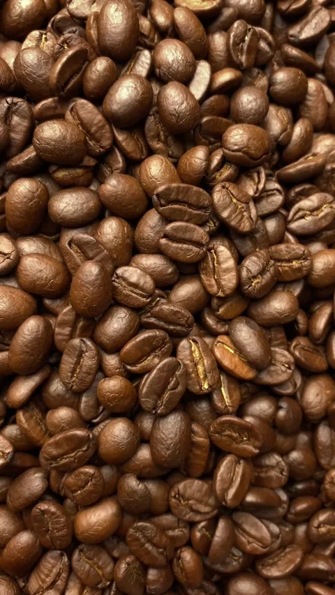 Coffee bean, closeup of coffee beans Stock Footage 238408555