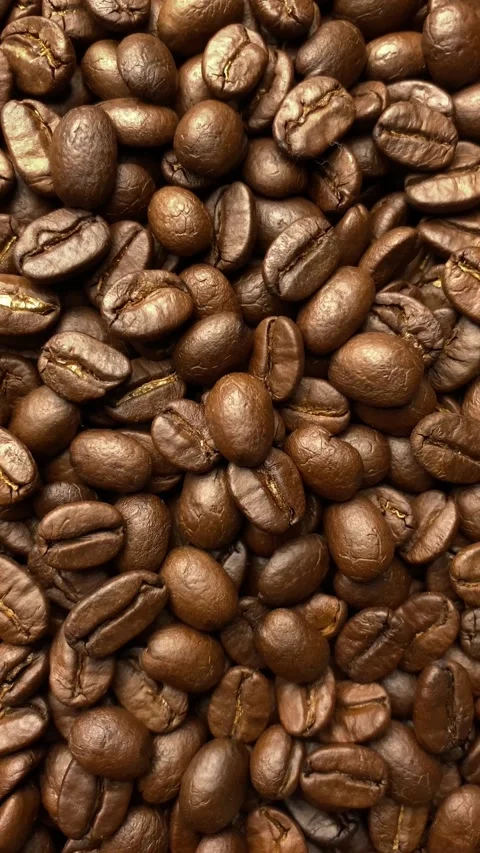 Coffee bean, closeup of coffee beans Video stock 238408577