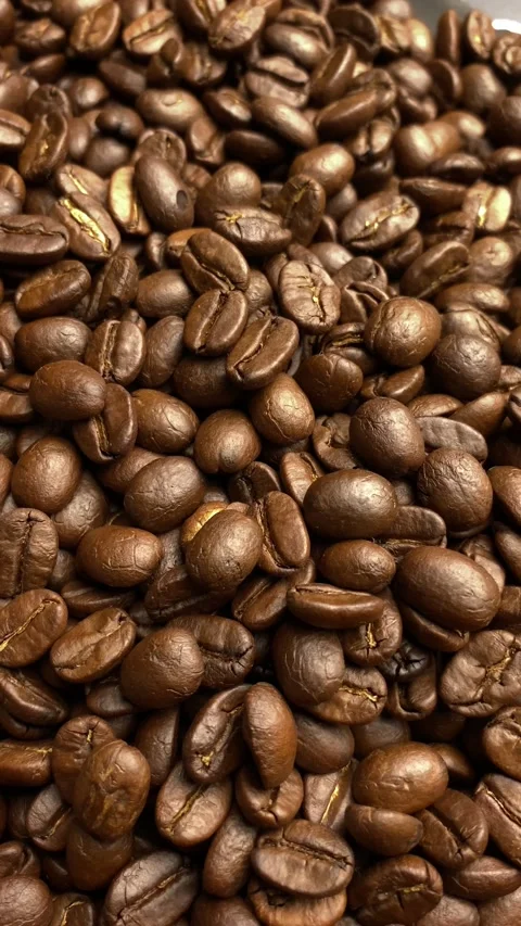Coffee bean, closeup of coffee beans Stock Footage 238408580
