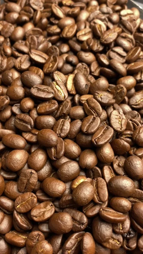 Coffee bean, closeup of coffee beans Stock Footage 238408592