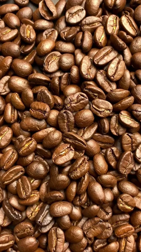 Coffee bean, closeup of coffee beans Stock Footage 238408605