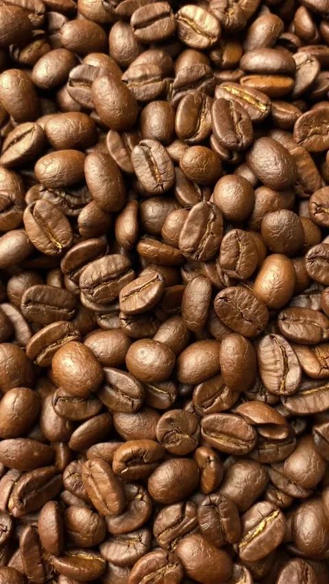 Coffee bean, closeup of coffee beans Video stock 238408607