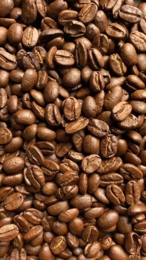 Coffee bean, closeup of coffee beans Stock Footage 238408608