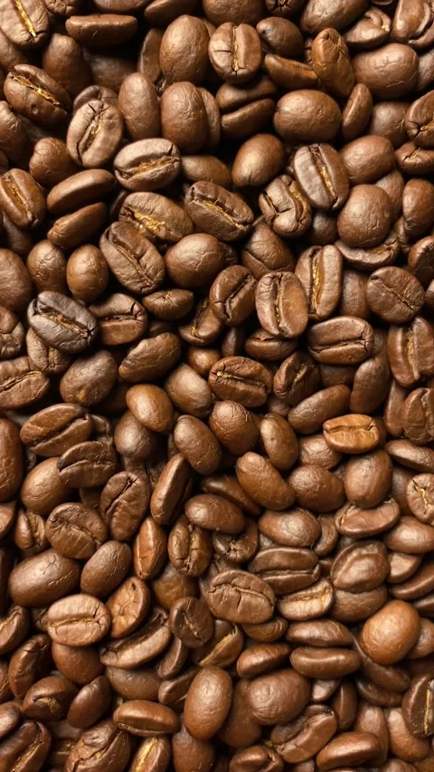 Coffee bean, closeup of coffee beans Stock-Footage 238408612