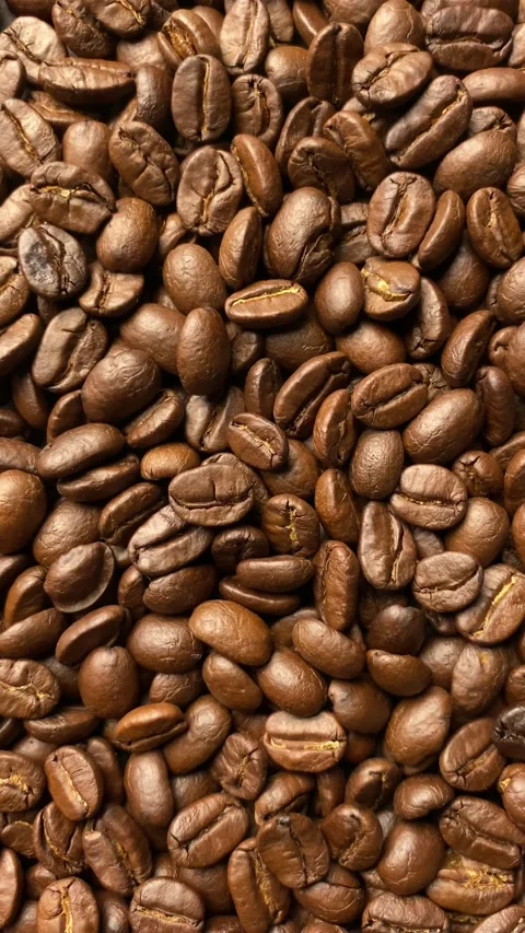Coffee bean, closeup of coffee beans Stock-Footage 238408628