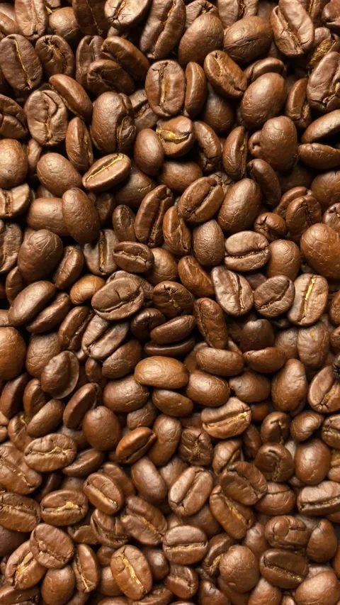 Coffee bean, closeup of coffee beans Stock Footage 238408637