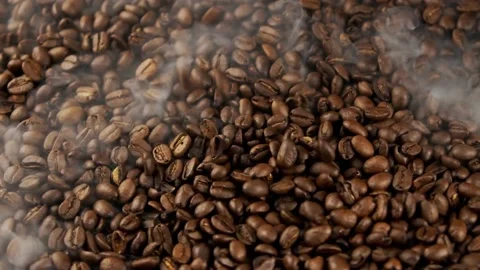 Coffee Bean, Coffee Bean spnning, Coffee Dropping, Coffee Bean slow motion Stock Footage 237511948