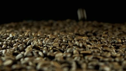 Coffee Bean, Coffee Bean spnning, Coffee Dropping, Coffee Bean slow motion 動画素材 237511996
