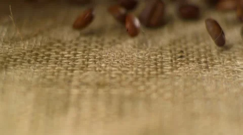Coffee bean come to the camera Stock Footage 59781751