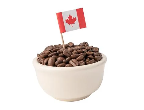 Coffee bean in cup with Canada flag. Stock Photos