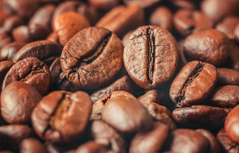 Coffee bean. a Cup of coffee. selective focus. Stock Photos