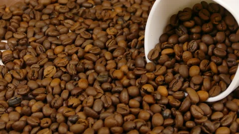 Coffee bean cup Stock Footage 231886579