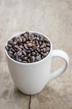 Coffee bean with Cup. Stock Photos
