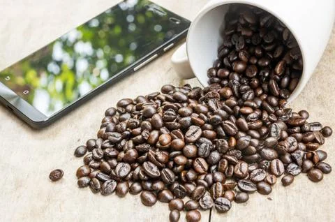 Coffee bean with Cup. Stock Photos