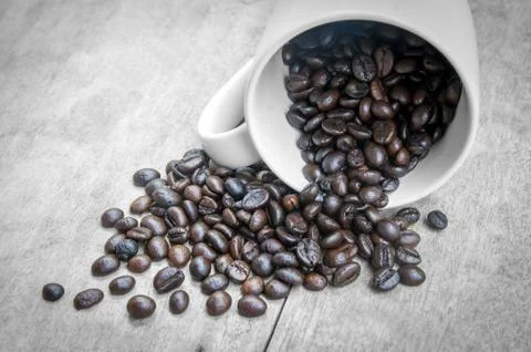 Coffee bean with Cup. Stock Photos