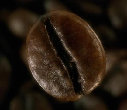 Coffee bean in deep shadows with diffusion filter Stock Photos