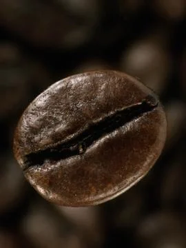 Coffee bean in deep shadows with diffusion filter Stock Photos