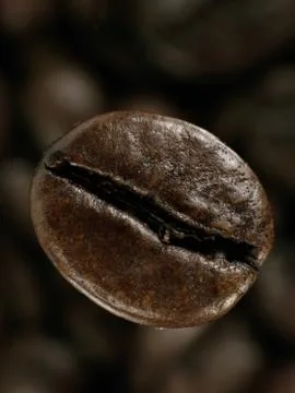 Coffee bean in deep shadows over unfocused grains background Stock Photos
