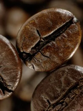 Coffee bean in deep shadows over unfocused grains background Stock Photos