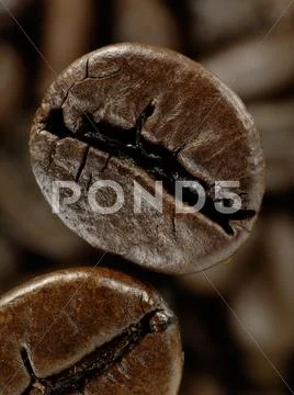 Coffee bean in deep shadows over unfocused grains background Stock Photos