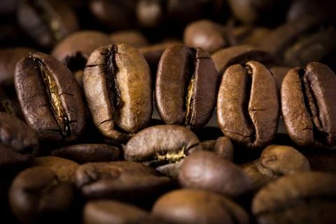 Coffee bean extremely close. Foto stock