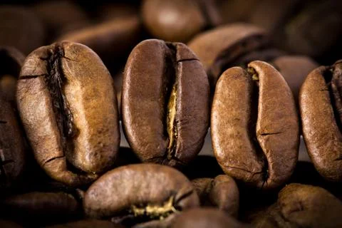 Coffee bean extremely close. Foto stock