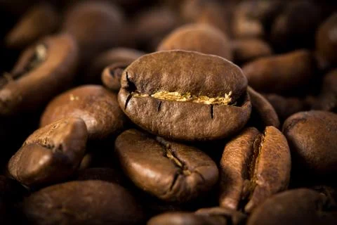 Coffee bean extremely close. Foto stock