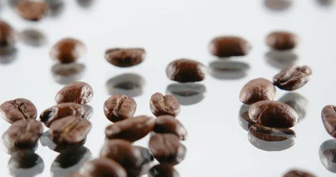 The Coffee bean falling down slow motion alpha chanel 200 fps Stock Footage 104626817