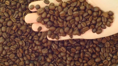 Coffee bean falling from hand. 库存影片 89612493