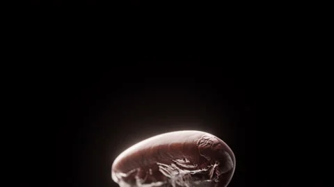 Coffee bean falling in slow motion. Cinematic close-up. Stock Footage 239650038