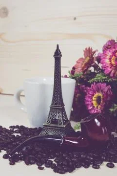 Coffee bean flower Stock Photos