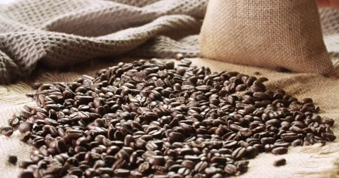 Coffee bean Stock Footage 244666528
