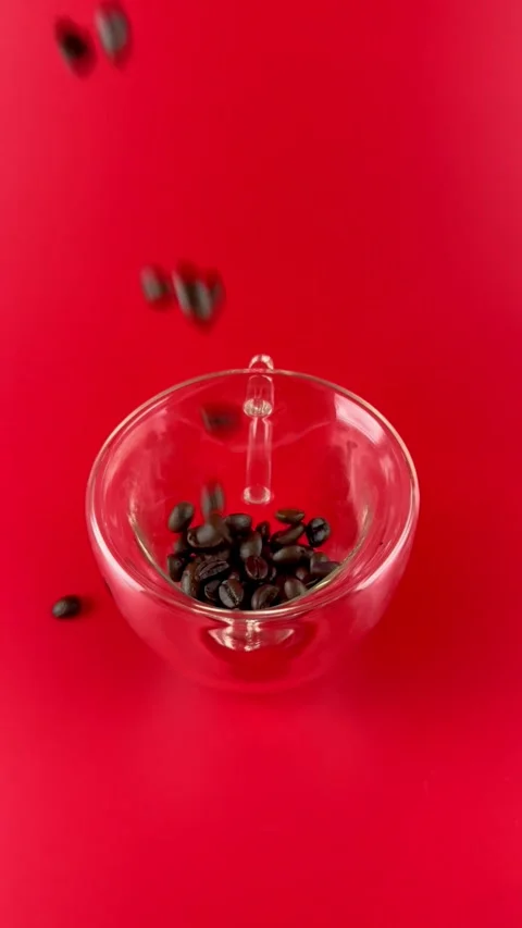 Coffee bean Stock Footage 297089265