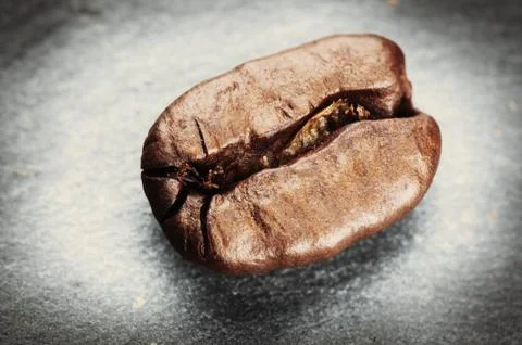 Coffee bean on grey background Photos
