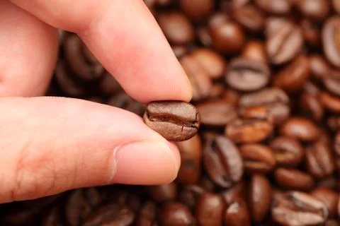 Coffee bean in hand Stock Photos