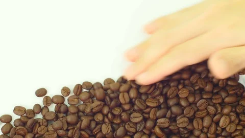 Coffee bean with human hand. Stock Footage 89612576