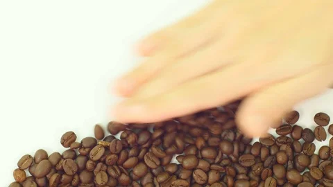 Coffee bean with human hand. Stock Footage 89612613