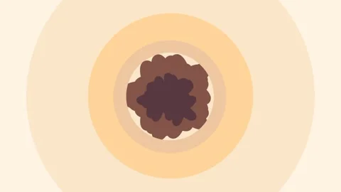 Coffee Bean Inside Donut Stock Footage 335639914