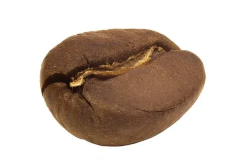 Coffee bean isolated macro Stock Photos