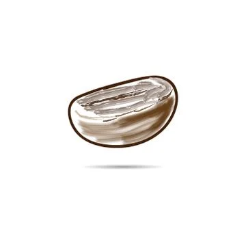Coffee bean isolated on white background.  Vector illustration Stock Illustration