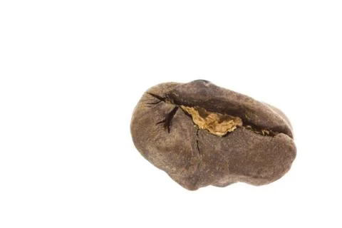 Coffee bean isolated on white background 写真素材