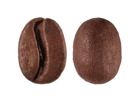 Coffee bean isolated on white background, nature Stock Photos