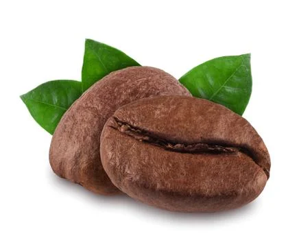 Coffee bean isolated on white background, nature Stock Photos