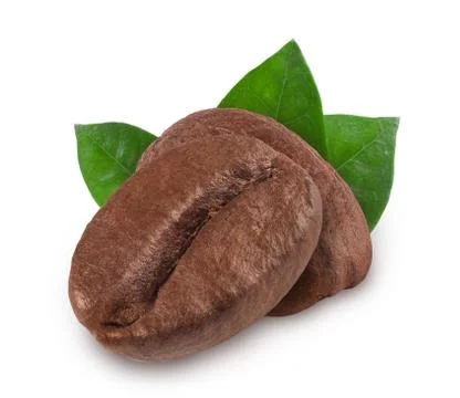 Coffee bean isolated on white background, nature Stock Photos