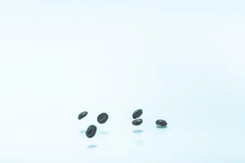 Coffee bean. Isolated on white background. Stock Photos