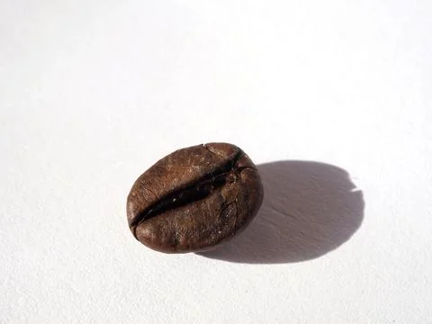 Coffee bean isolated on white background. Macro shooting Stock-Fotos