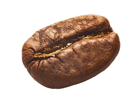 Coffee bean isolated on white background, shiny coffee bean 库存照片